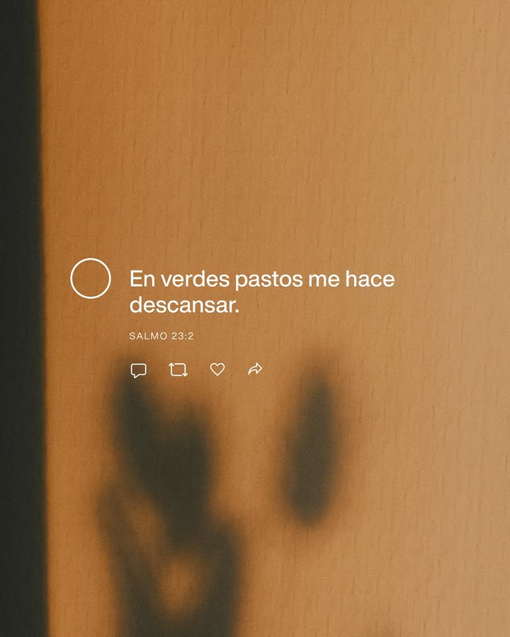 el Siervo (@elsiervo__) on Twitter photo 