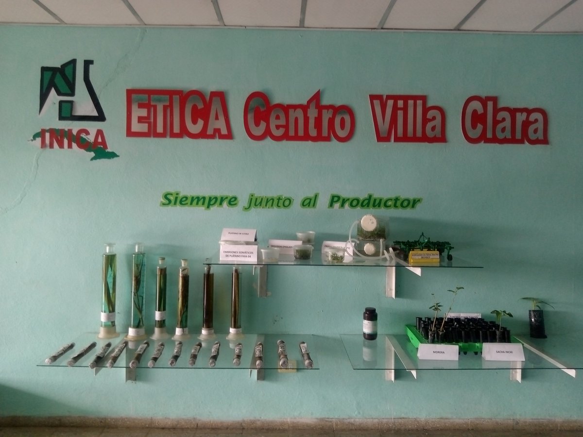5/sept/1984 Creación de la Estación Territorial de Investigaciones de la Caña de Azúcar (ETICA) de #VillaClara #Cuba , perteneciente al Instituto Cubano de Investigaciones de la Caña de Azúcar (INICA), perteneciente al Grupo #Azucareros AZCUBA.