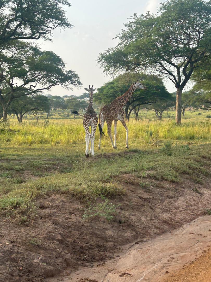 JudithHopeK RN tweet media