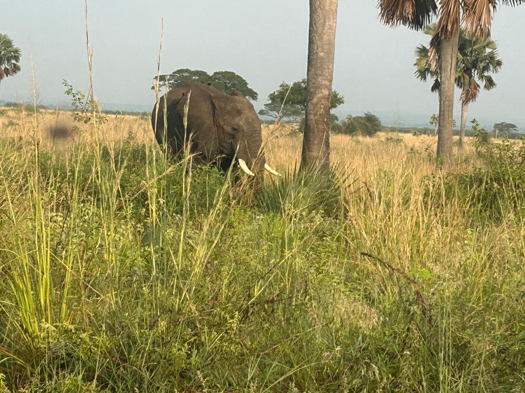 JudithHopeK RN tweet media