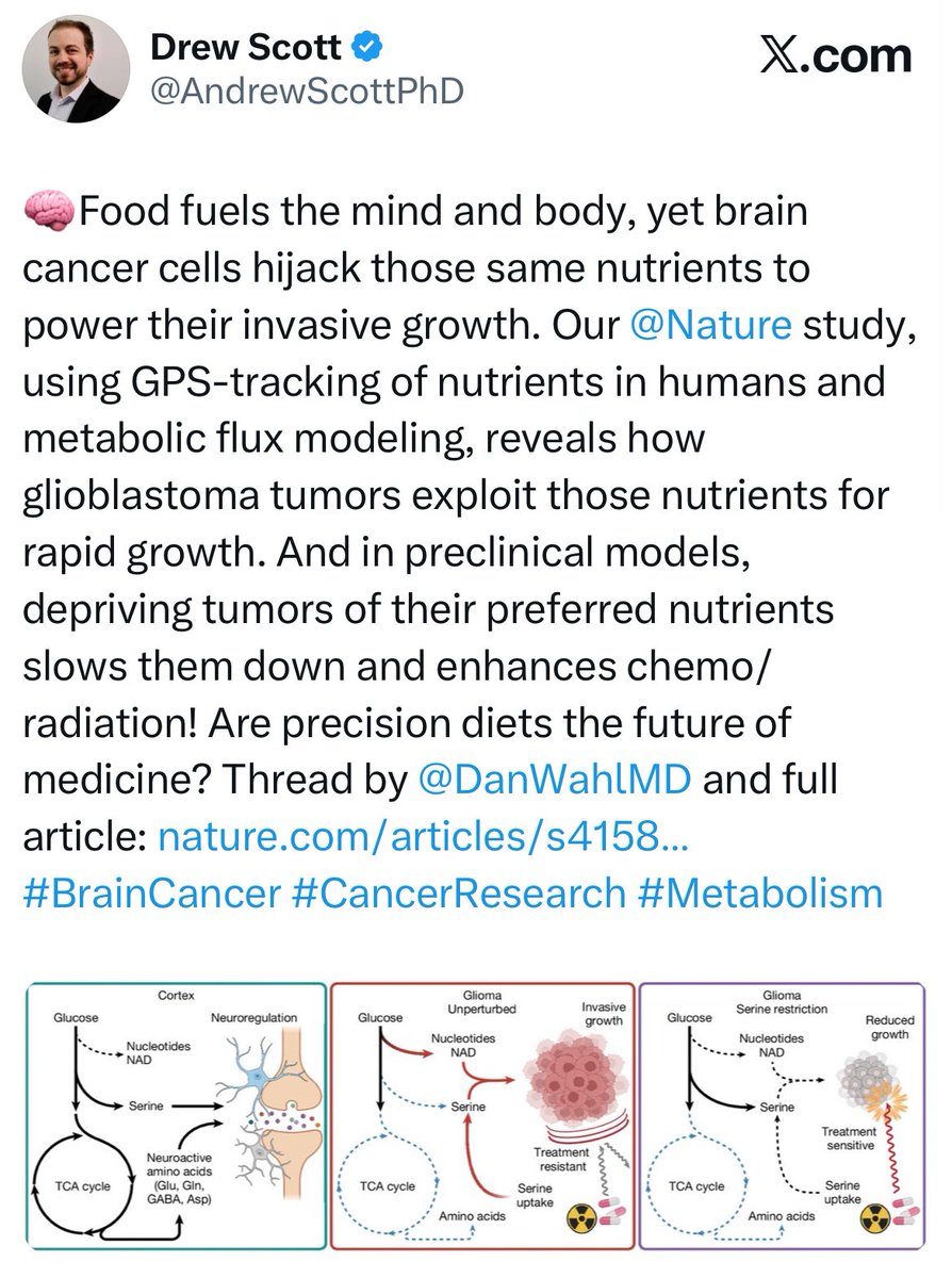 Hiring committees, please take note! <a href="/AndrewScottPhD/">Drew Scott</a> is on the job hunt, looking for an academic home for the Scott Lab 😃 His lab will study metabolism in the brain tumor microenvironment. And if you’re into that sorta thing… he also has a K99/R00 
cc: <a href="/DanWahlMD/">Daniel Wahl</a>