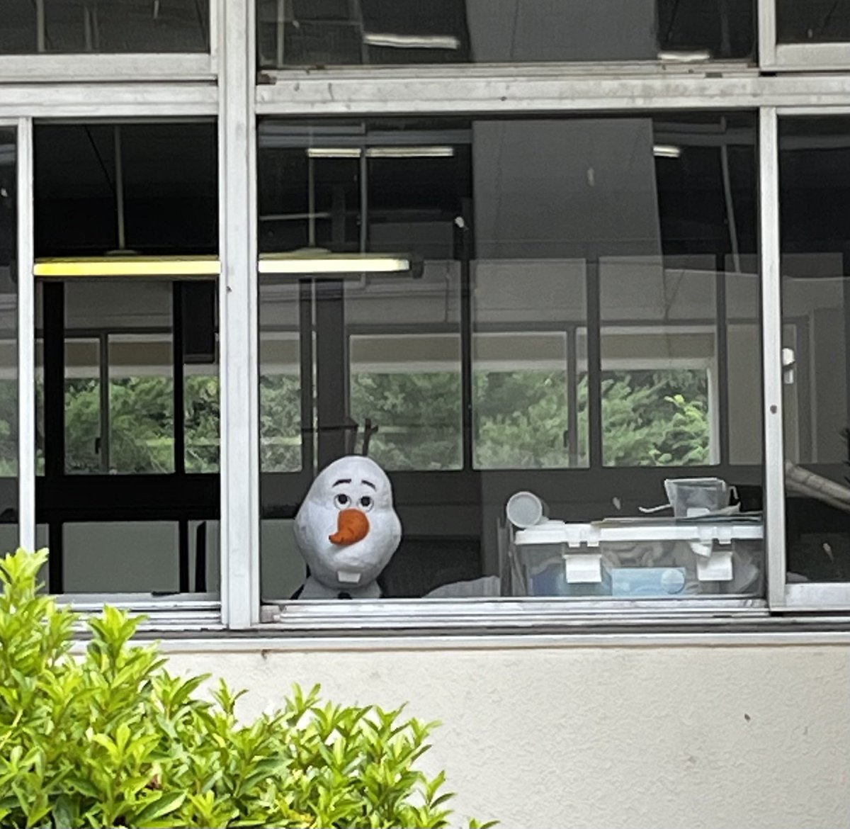 おやすみ😴
うちの学校には化け物がいます笑