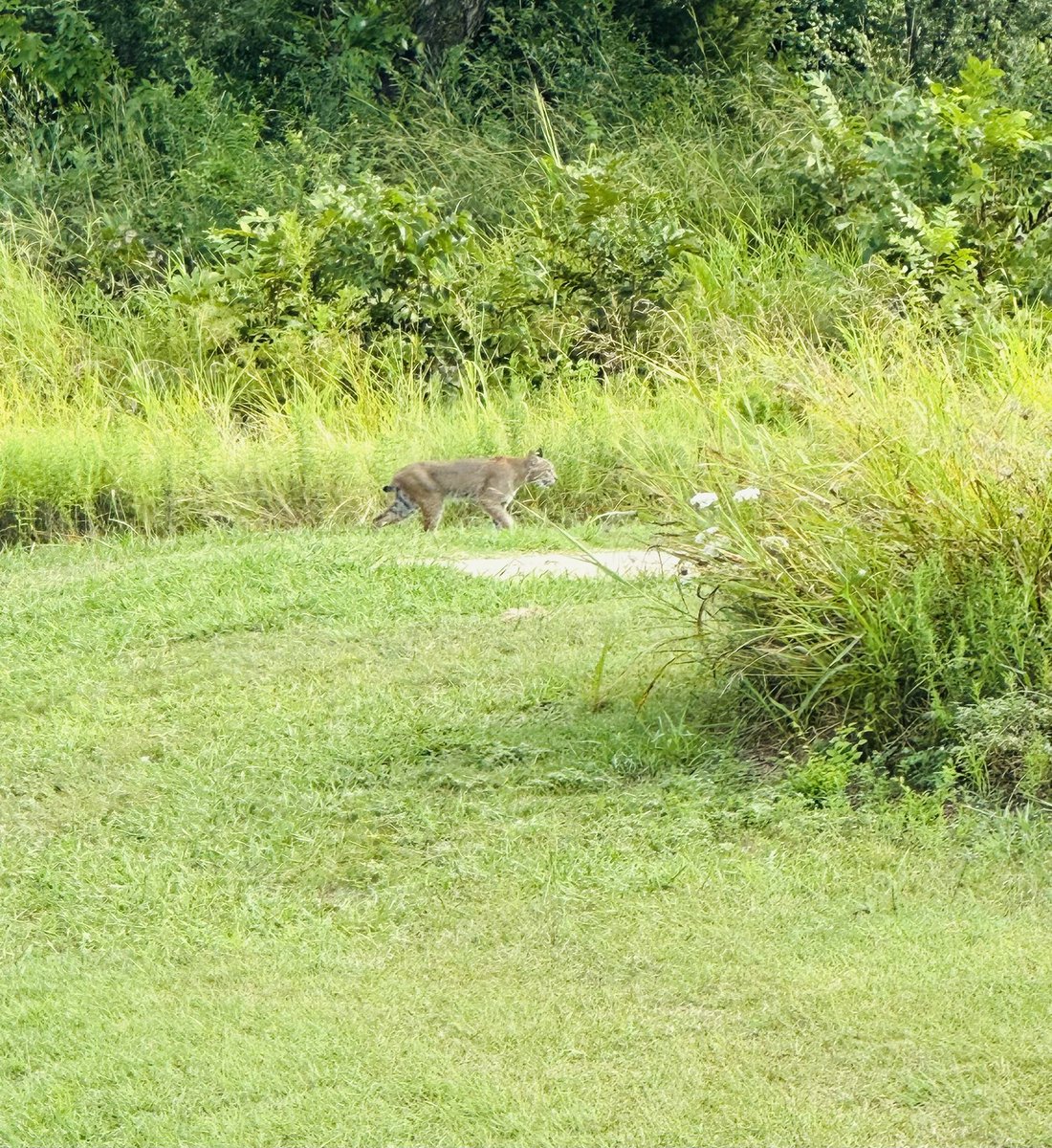 Oscar Galindo tweet media