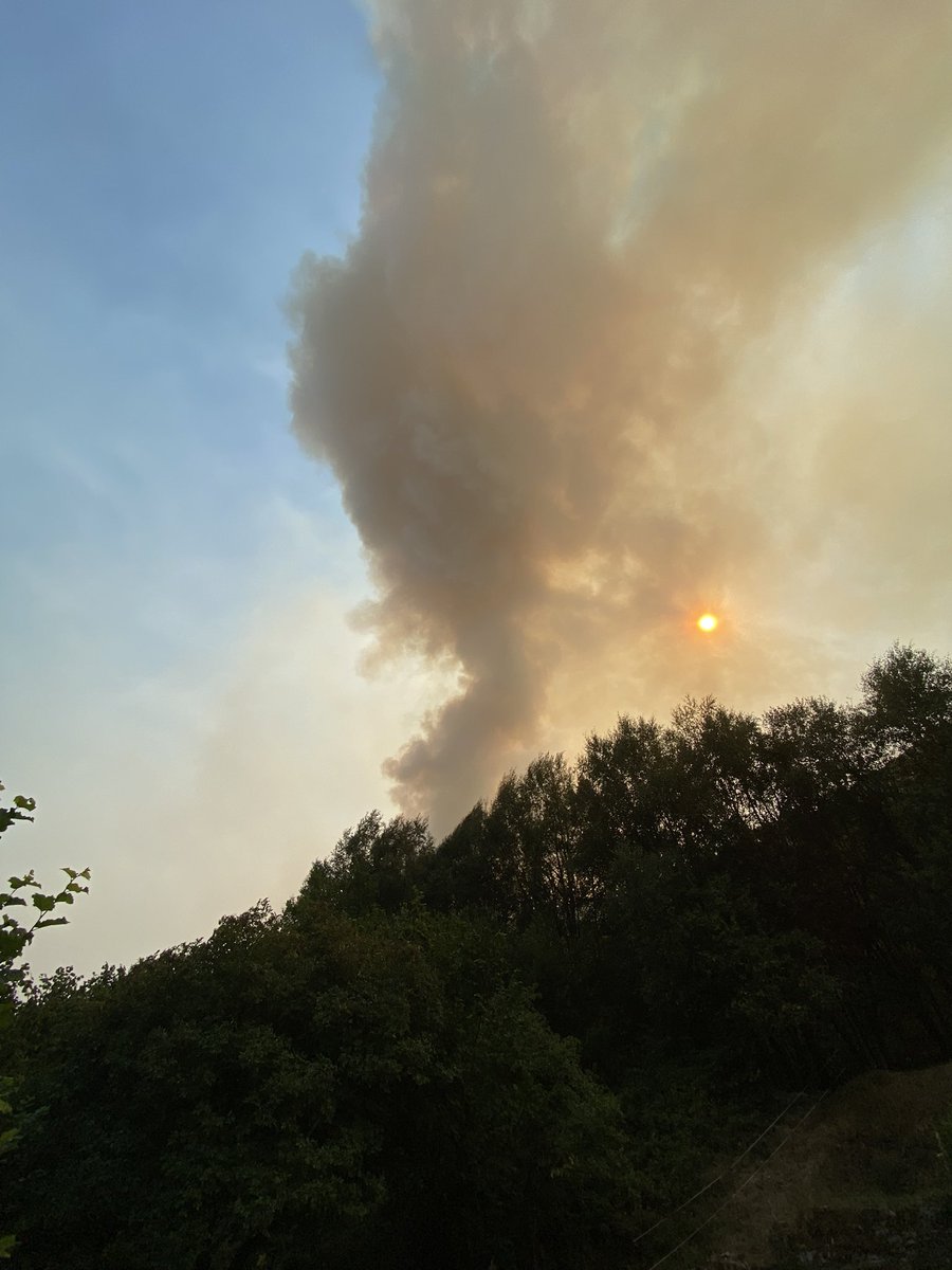 Siempre que íbamos al
Bierzo y veía el matojal, le decía a mi paisano:¿no saldremos ardiendo algún día? 
Casi #verano2025