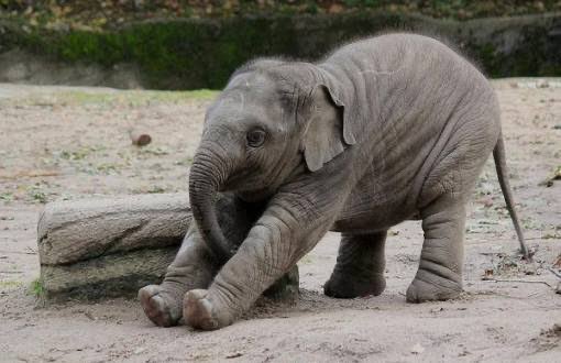 Gusholder Haber Bülteni tweet media