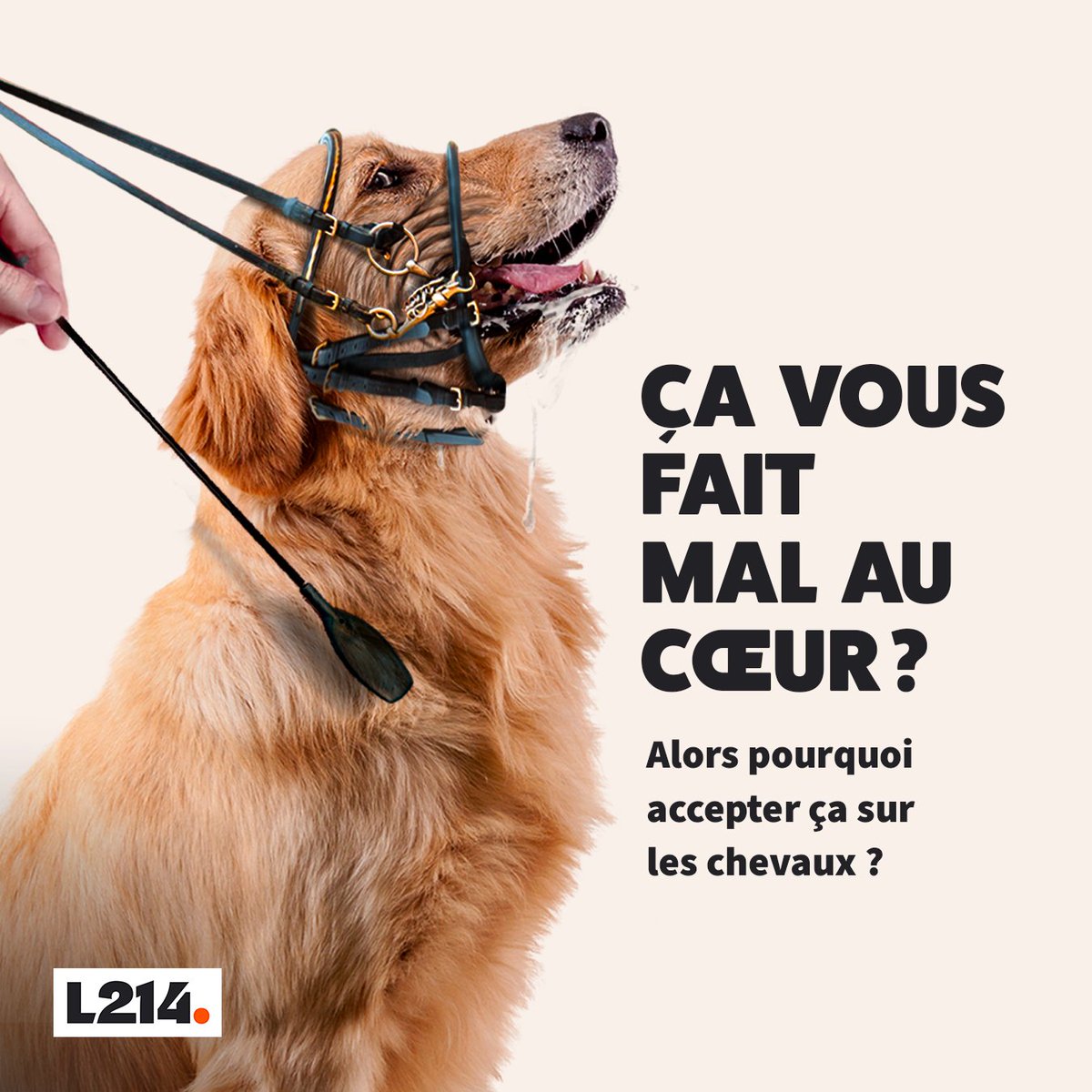 L214 éthique & animaux tweet media