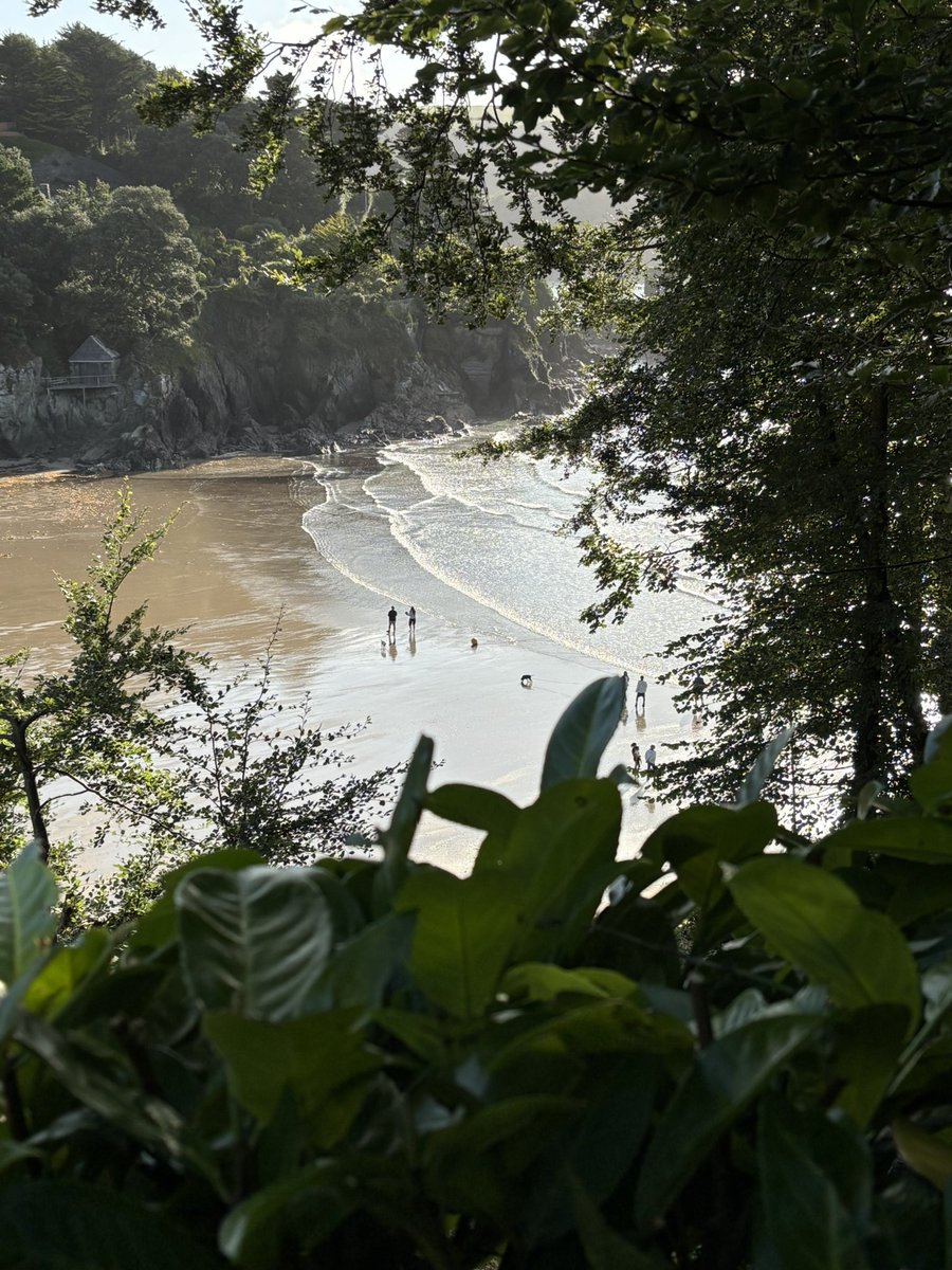Morning walk in beautiful Salcombe