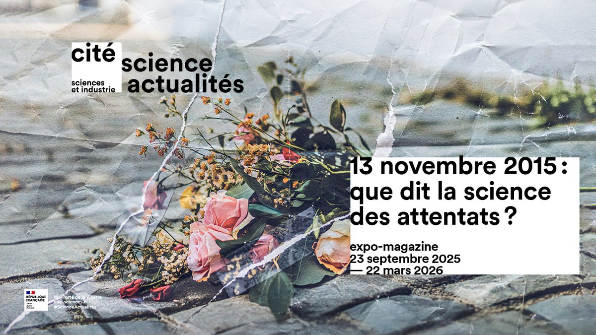 Programme 13-Novembre tweet media