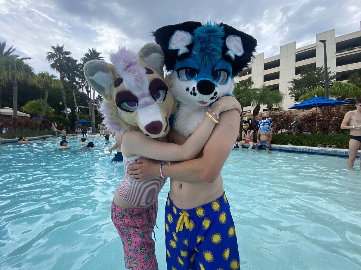 Korgs 💜 tweet media