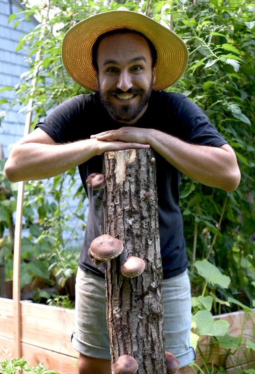 Guy Bower tweet media