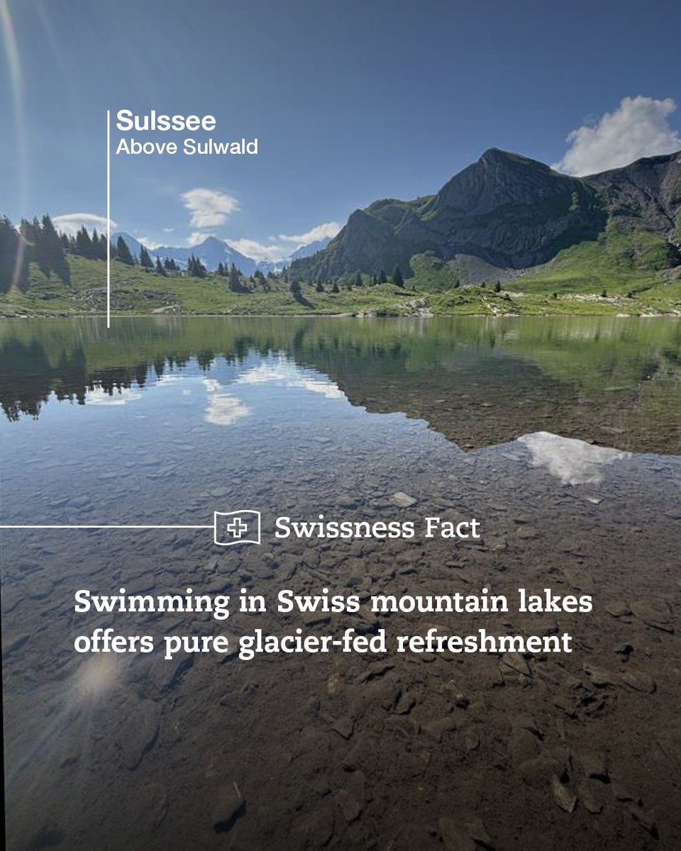 JungfrauRegion's tweet photo. Taking a dip in a Swiss mountain lake means swimming in crystal-clear glacier water surrounded by breathtaking alpine peaks🏔️💧

@MyLauterbrunnen | @madeinbern | @MySwitzerland_e 

 #lauterbrunnen #lake #swissalps #madeinbern #inLOVEwithSWITZERLAND #mountainlake #swimming https://t.co/tjWiNA5dRj