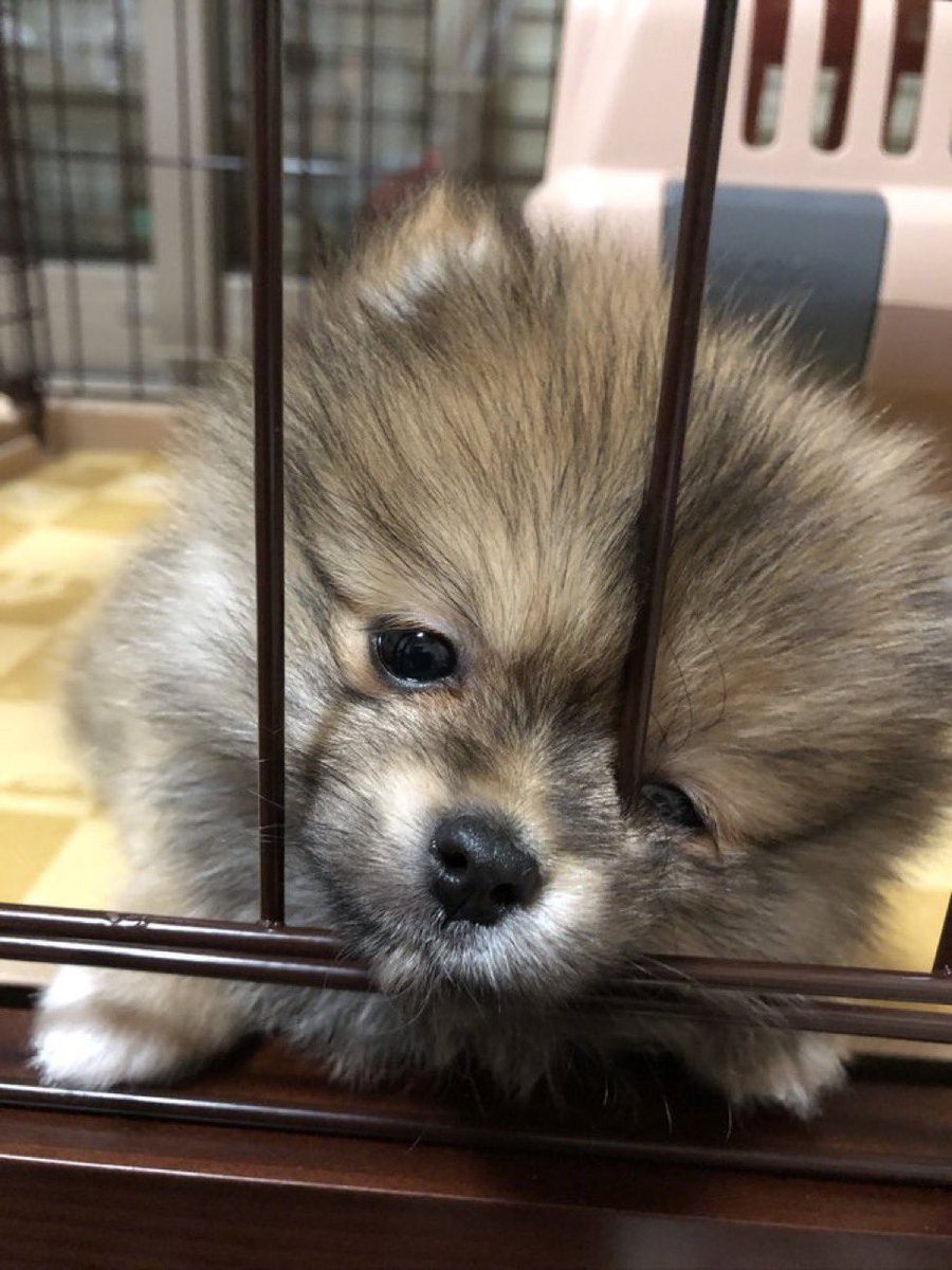 아... 빨리 받고 싶은데
9월 11일에 순차 배송이래요