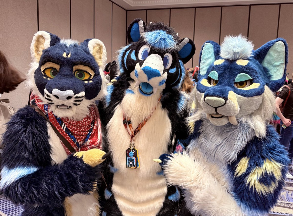 It’s Blue Cat Friday!!! Sorry, I mean #FursuitFriday
feat.
🐲😸: <a href="/Draegarth/">Draegarth 💙 👣 🔜 #AnthroIrish2025</a> 
🦷😼: <a href="/CorgiTosh/">Tosh Corgi 🔜 NFC2025</a>