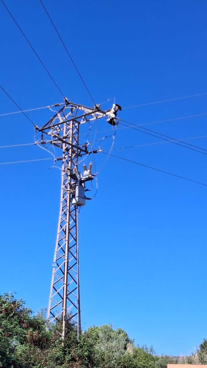 Los Agentes Medioambientales🙋🏻‍♂️👮🏻‍♂️👮🏻‍♀️🚔 pieza clave en las correcciones a las electrocuciones.

Si ves alguna llámanos, da geolocalización y fotografías, serás parte de la solución.👍

levante-emv.com/marina/2025/09…