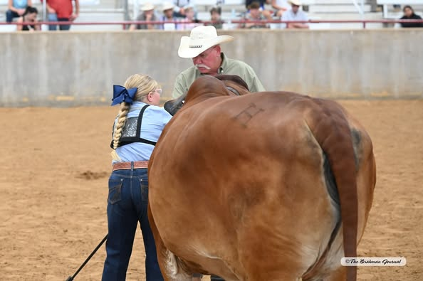 2025 BLUEBONNET KICKOFF CLASSIC JUNIOR SHOWMANSHIP – Champion Novice Showman: Quinn Padgett