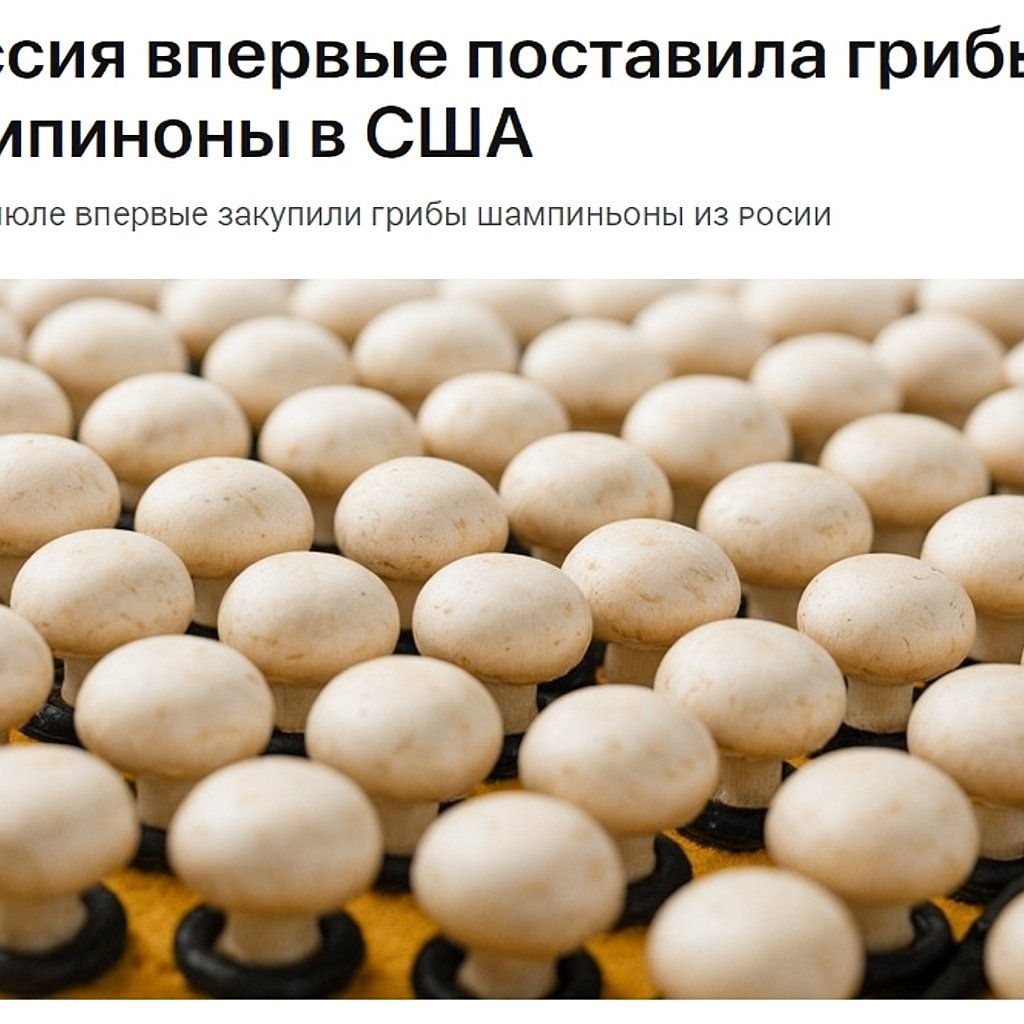 А как вам токая новость