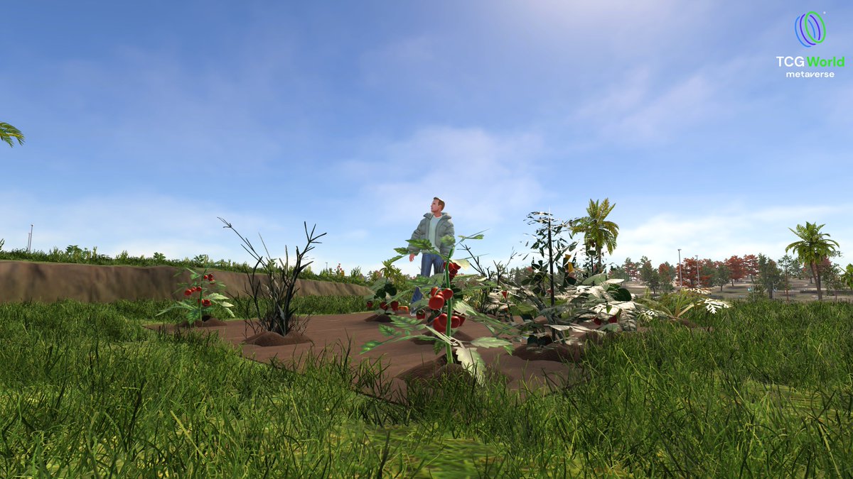 ImOnlyKenneth's tweet photo. Farming in @PlayTCGWorld TCG World isn’t a chore, it’s your empire.

Plant crops, raise livestock, craft resources. Every harvest is an NFT with real value. Every choice shapes your land and your economy. 

Play, Cultivate, Earn. https://t.co/f6QMx09dwl
