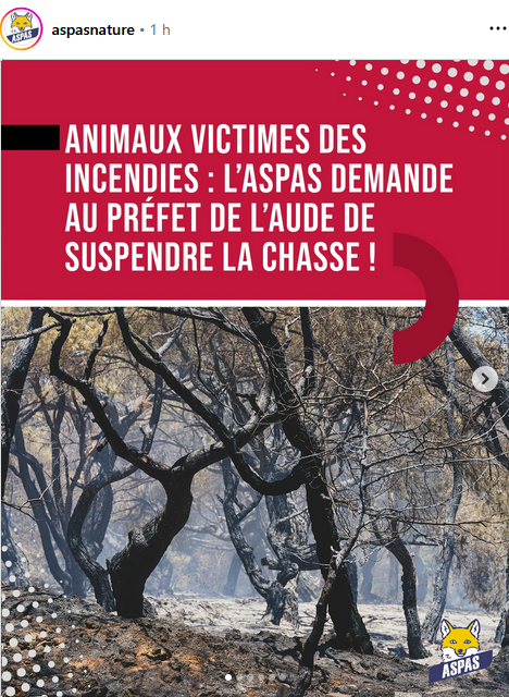 instagram.com/p/DOOT3WdjICF/