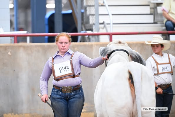 2025 BLUEBONNET KICKOFF CLASSIC JUNIOR SHOWMANSHIP – Champion Junior Showman: Kimber Calhoun