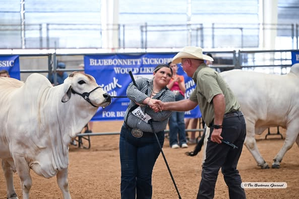 2025 BLUEBONNET KICKOFF CLASSIC JUNIOR SHOWMANSHIP – GRAND CHAMPION &amp; Champion Intermediate Showman: Cecilia E. Guerra