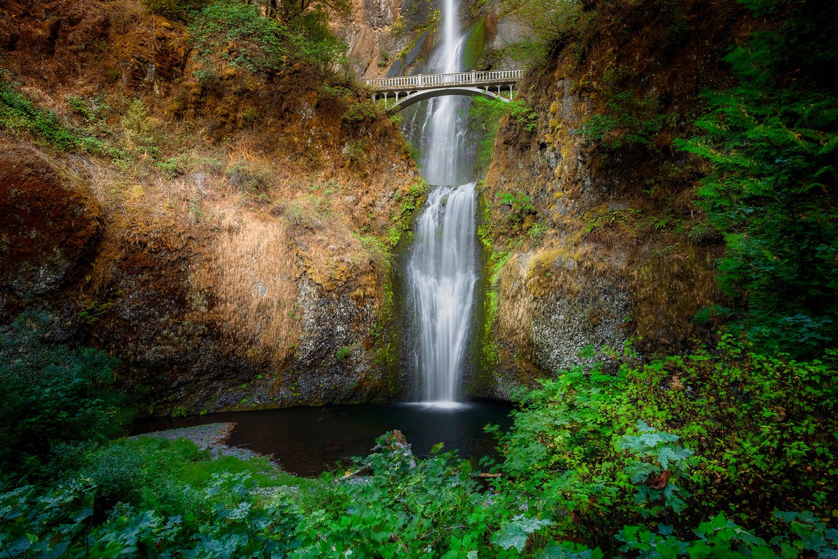 Blake Rudis tweet media