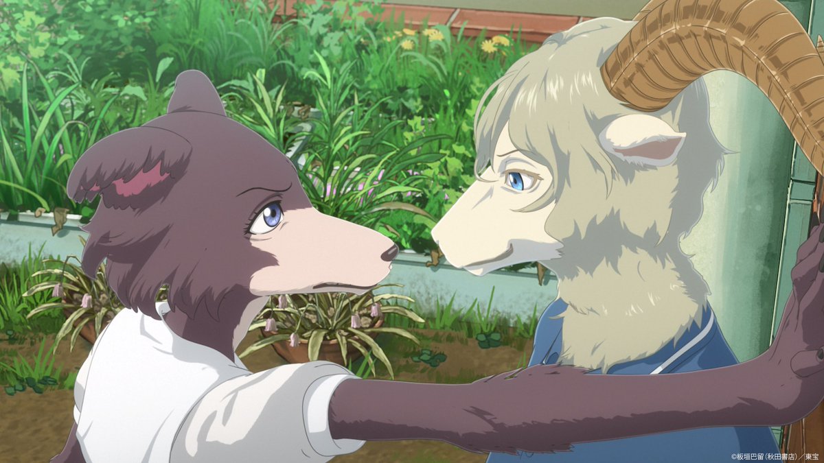 beastarsanime's tweet image. BEASTARS FINAL SEASON Part 2
New cut scenes released 🐺 📷

Legoshi, Louis and Seven's unreleased threesome. Juno and Pina seem to be in a tense mood. And who's with Haru...?

The story finally reaches its final phase.
Scheduled for release in 2026! Look forward to it! ✨
