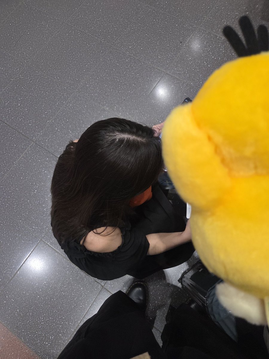 raitopuusan's tweet photo. 見てご覧コダック
飛行機が急に欠航になって熊本に帰れない@tete_ne_だよ…
俺らもお家帰れないね( ᐛ ) https://t.co/1KDCHARExK
