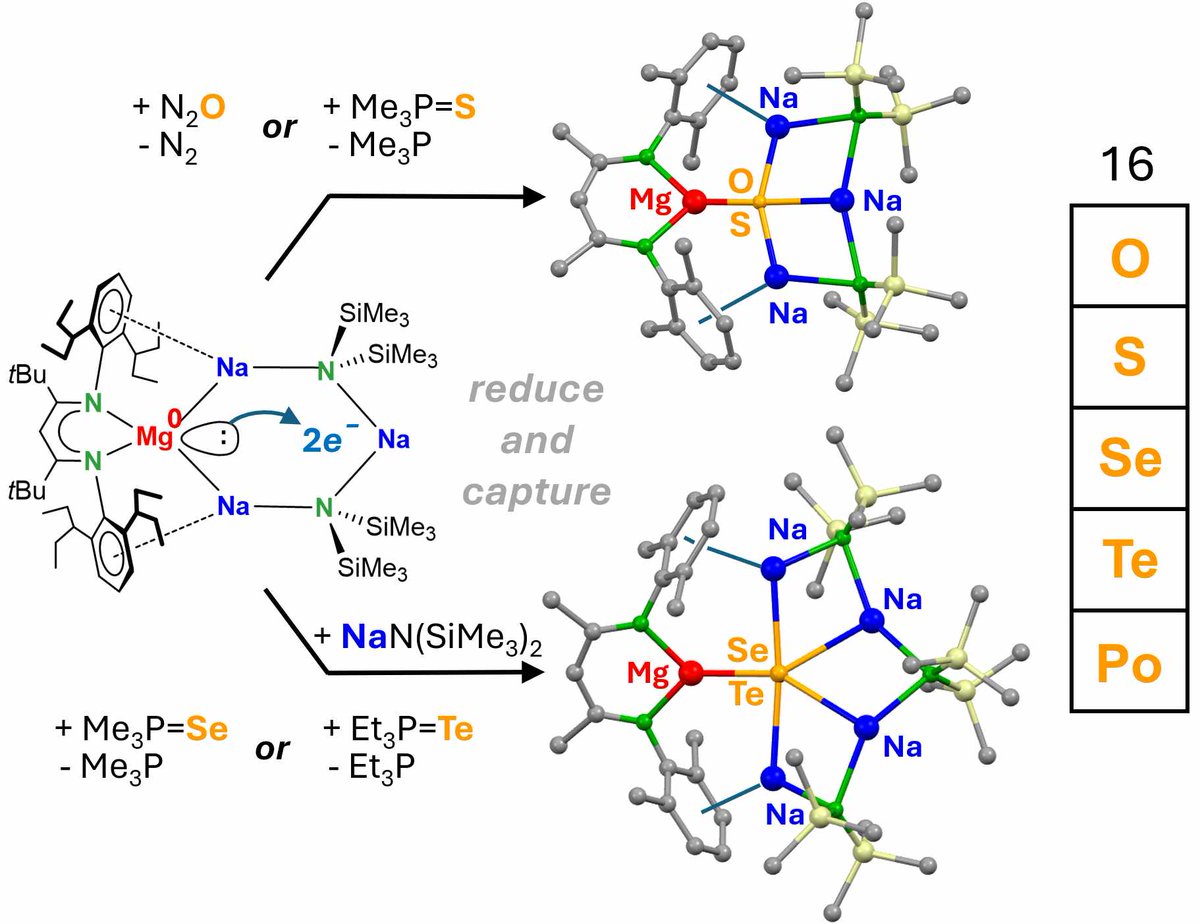 CAPTURING CHALCOGENIDES: A soluble Mg(0) metal crown complex reduces and captures chalcogenes. Large anions Se(2-) and Te(2-) need ring enlargement. Highlight: a first molecular s-block metal telluride complex with nearly planar pentacoordinated Te(2-). shorturl.at/n4TUm