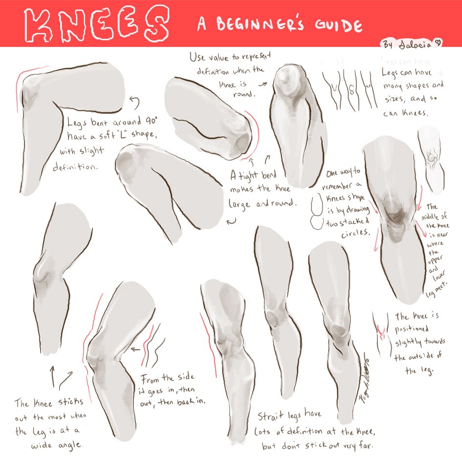 EtheringtonBros's tweet photo. Our feature artist/reference for today is this GREAT page of KNEE NOTES by the talented @SalaciaPaints! Lots of interesting thoughts here on the POSITION and CHANGING SHAPE of this often overlooked joint! #gamedev #characterdesign  #concetart #comciart #anatomy #comicart #anime https://t.co/jaEUS6Ezh5