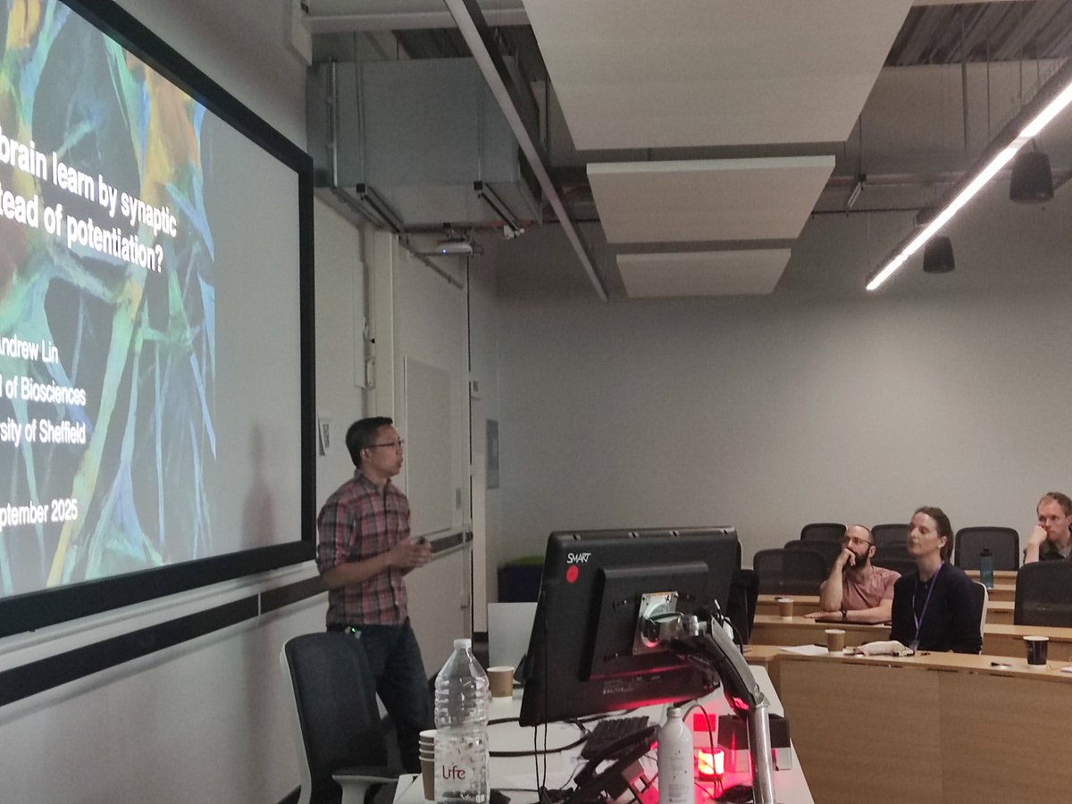 devjoniscience's tweet image. Dr. Andrew Lin: &quot;Synaptic depression outperforms potentiation in learned stimulus discrimination under relative integration of opposing outputs&quot;

#neuroscience #olfaction

#nibai2025