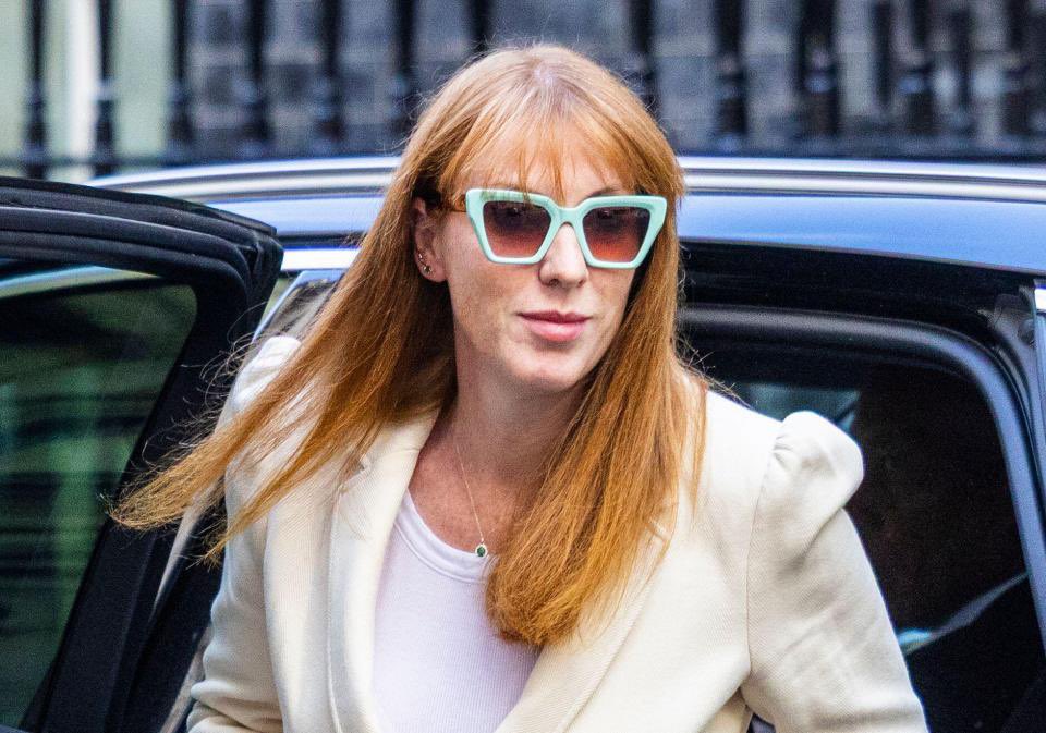 steph4niie_'s tweet image. Thanks for everything Angela Rayner, you literal DIVA ❤️