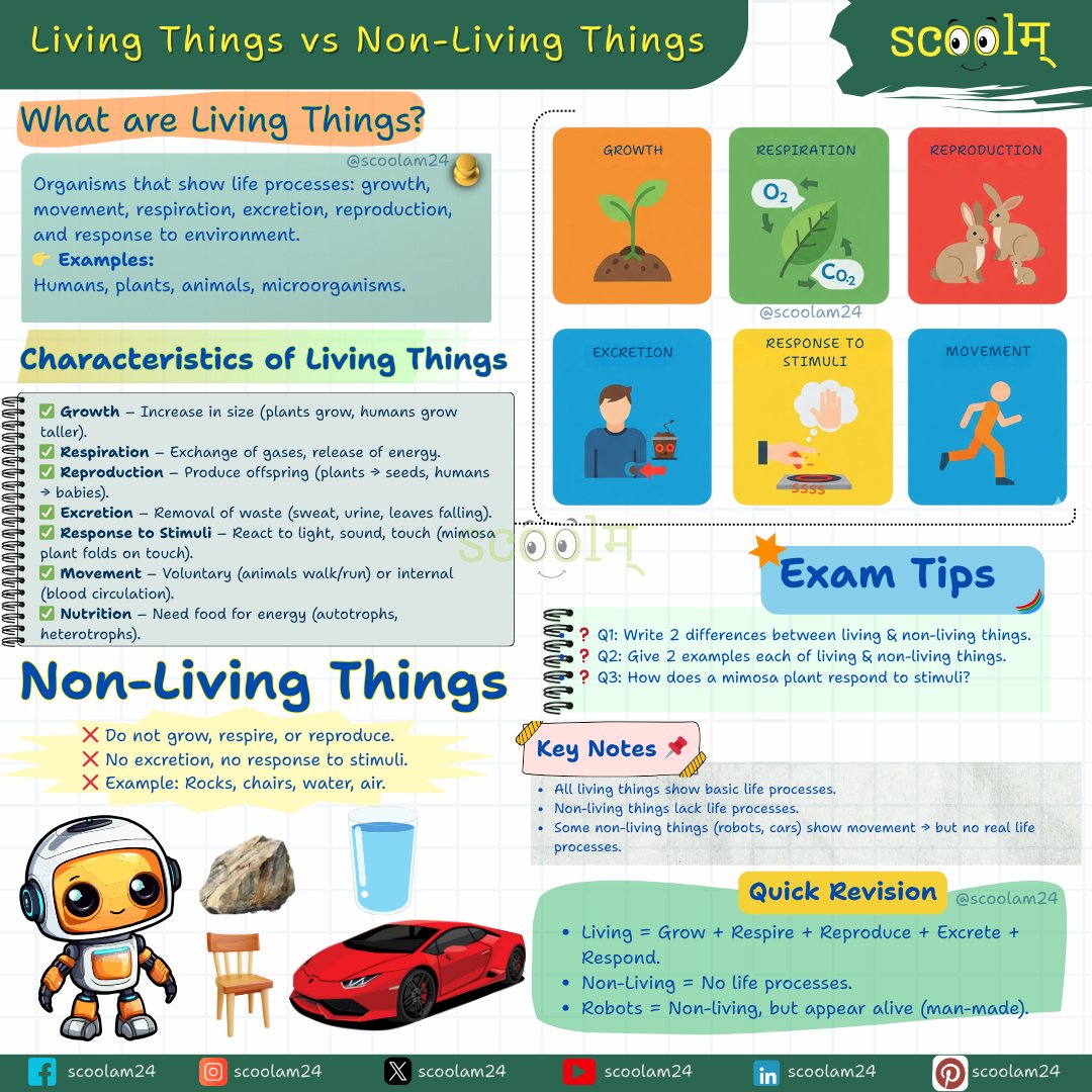 scoolam24's tweet image. 🌱 Living vs Non-Living 🪨
Living = Growth + Respiration + Reproduction + Movement + Excretion + Response.
Non-living = 🚫 No life processes (robots/cars can move but not alive).
💡Q: Name 2 living &amp;amp; 2 non-living things around you 👇
#Science #Class6 #Scoolam #Teachers