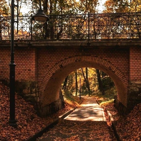 NostAcademia's tweet image. The cycle continues 🤎 Autumn