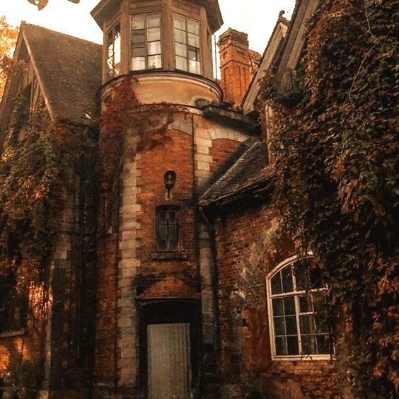 NostAcademia's tweet image. The cycle continues 🤎 Autumn