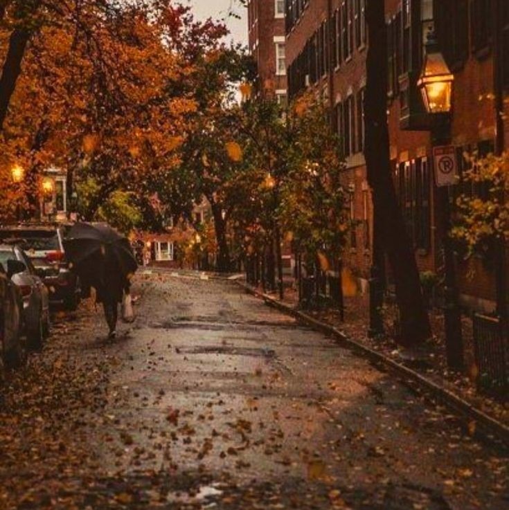 NostAcademia's tweet image. The cycle continues 🤎 Autumn