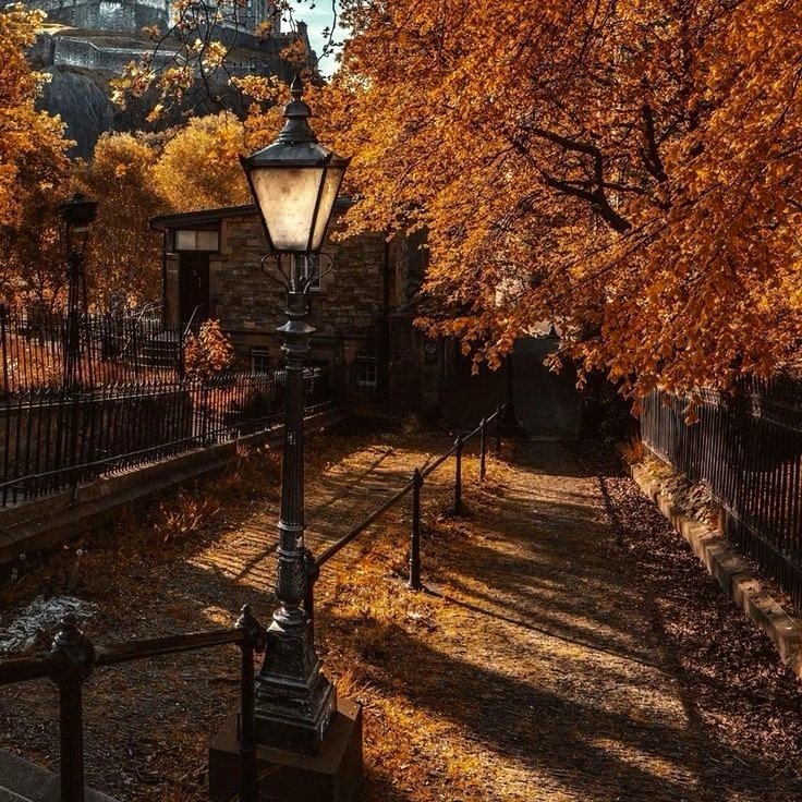 NostAcademia's tweet image. The cycle continues 🤎 Autumn