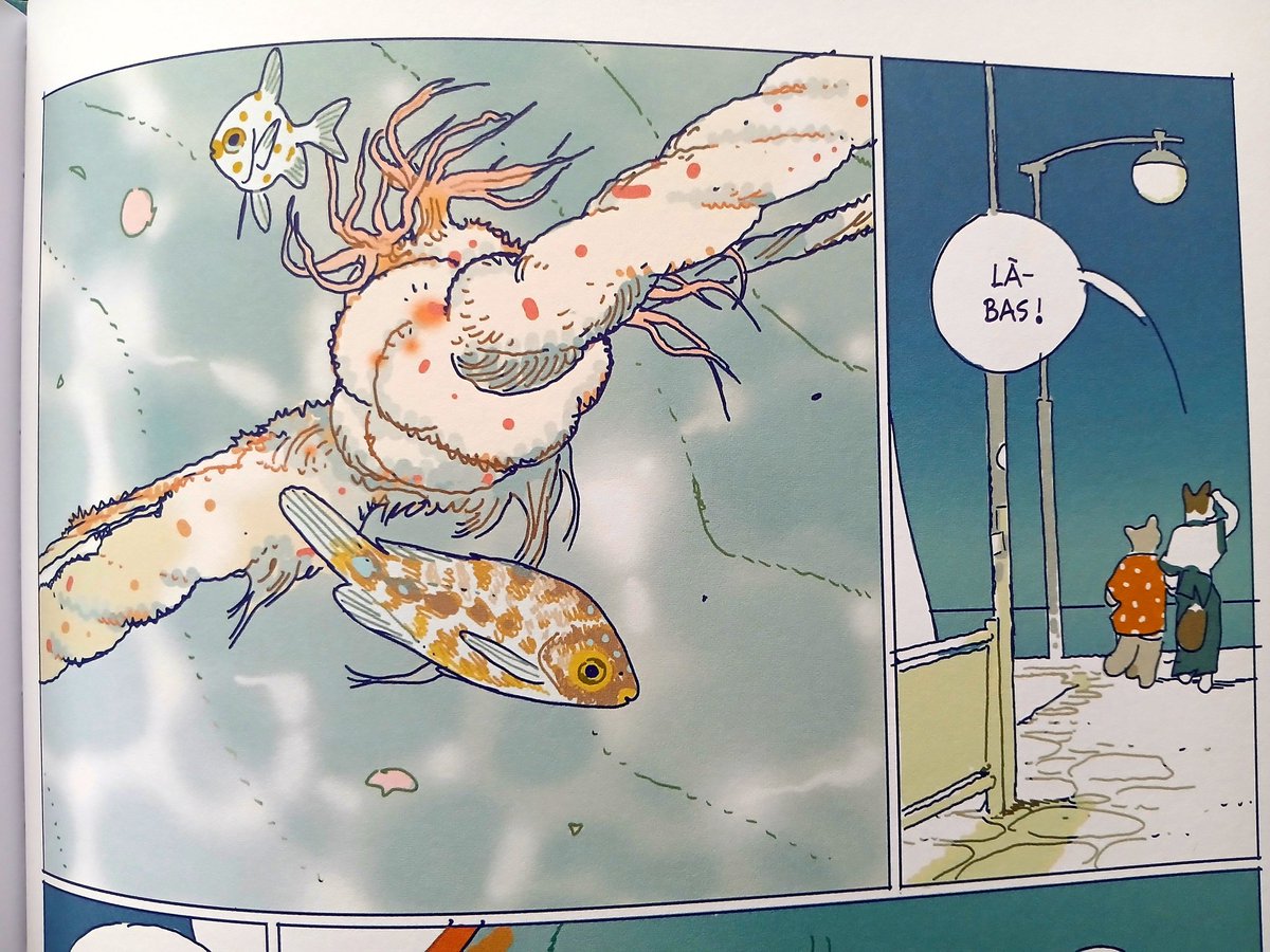 TheFrenchPhenom tweet media