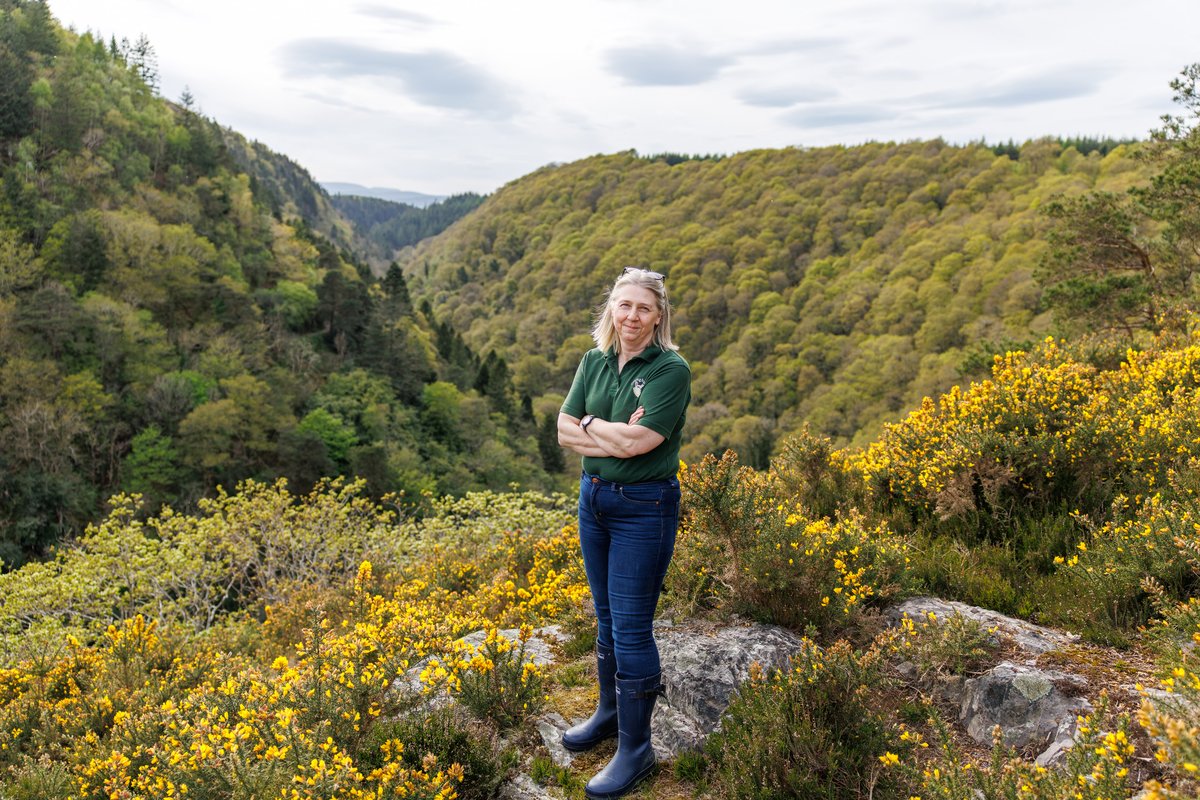 agriculture_ie's tweet image. Lucy Tottenham is a woodland owner in Co #Wicklow. Lucy shares her wealth of knowledge about how planting native trees can enhance #biodiversity & #sustainable local #ecosystems. Explore Lucy’s advice here and start your #forestry journey: assets.gov.ie/static/documen…