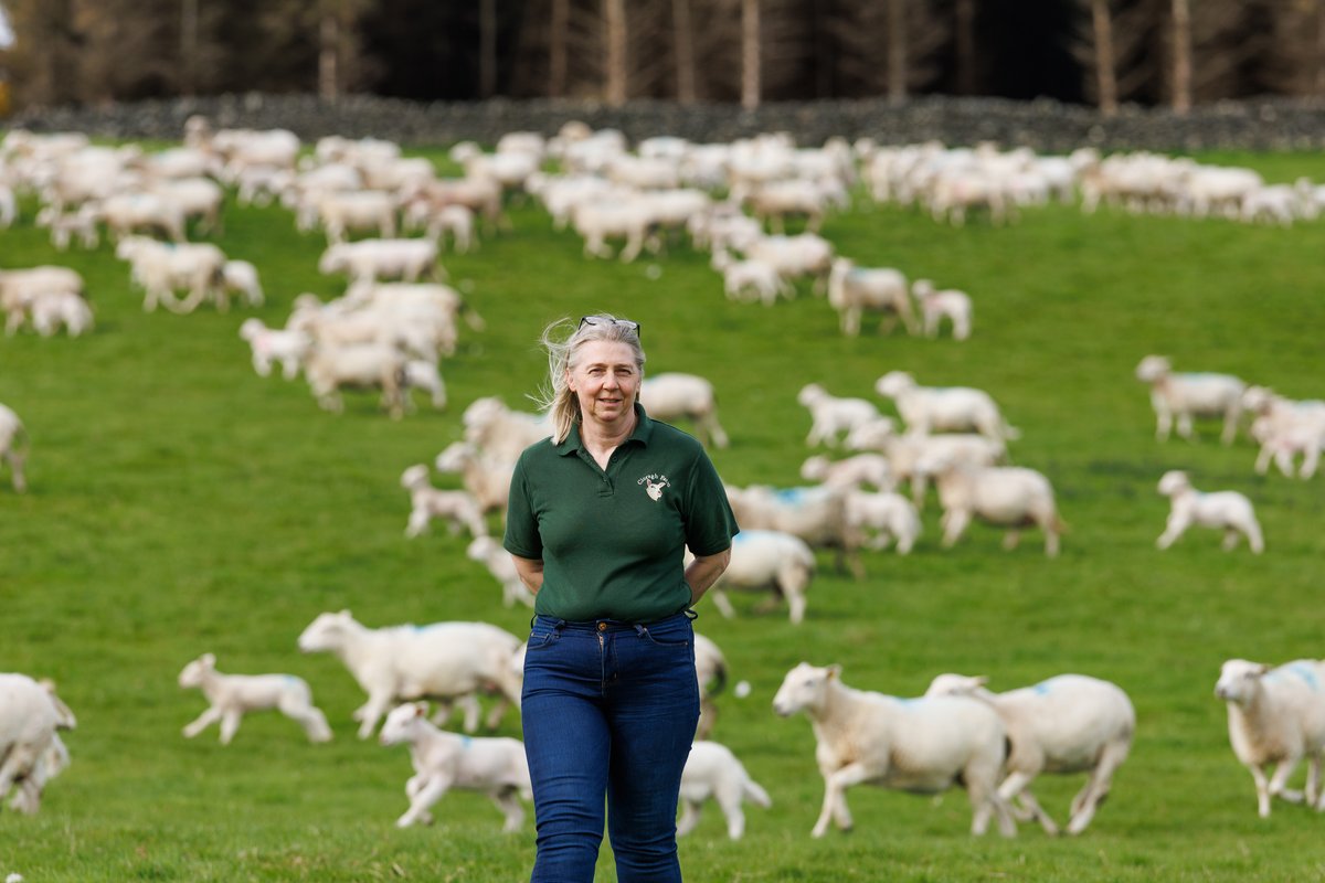 agriculture_ie's tweet image. Lucy Tottenham is a woodland owner in Co #Wicklow. Lucy shares her wealth of knowledge about how planting native trees can enhance #biodiversity & #sustainable local #ecosystems. Explore Lucy’s advice here and start your #forestry journey: assets.gov.ie/static/documen…