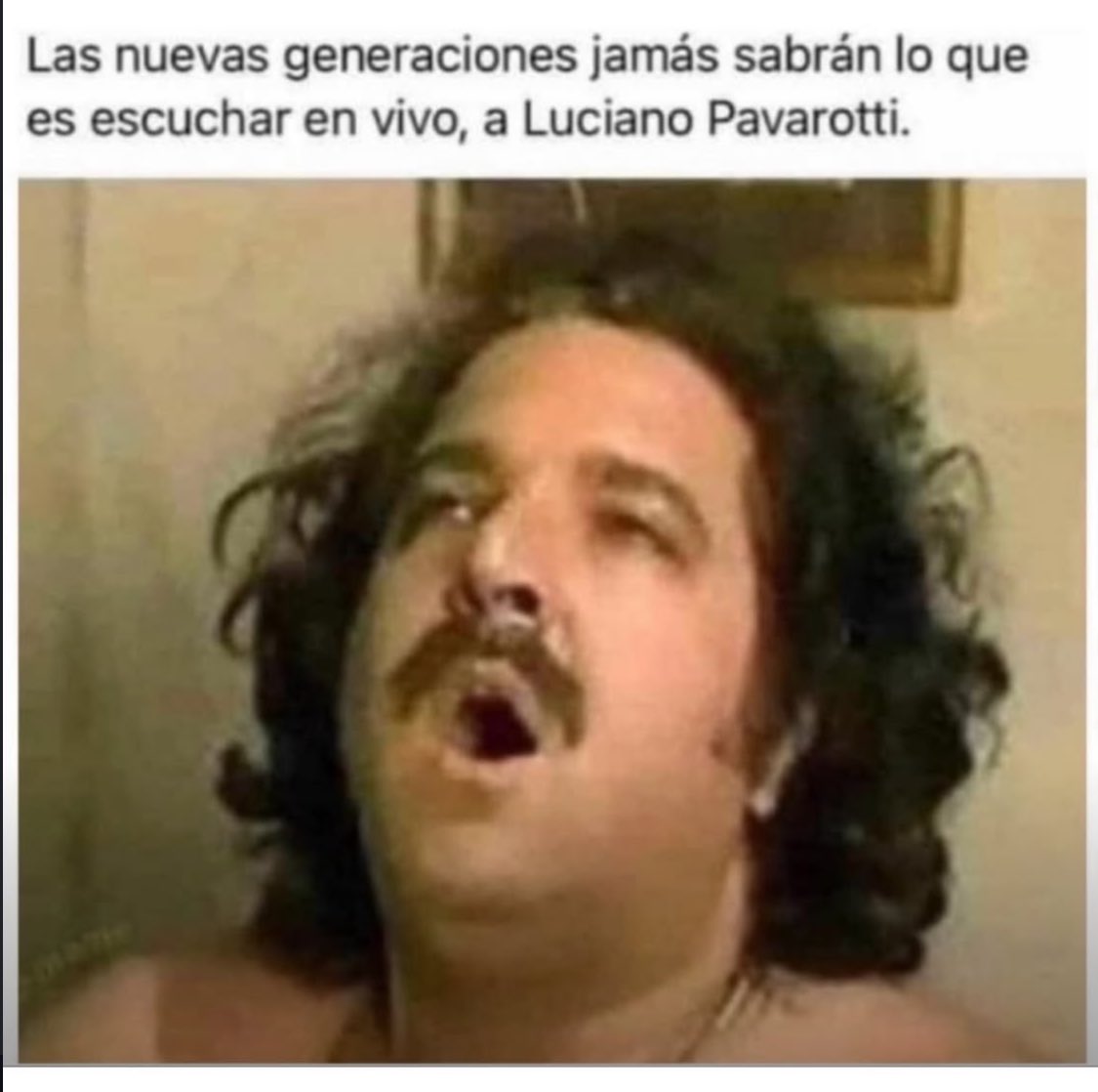 Modorro De Pueblo🐑 tweet media