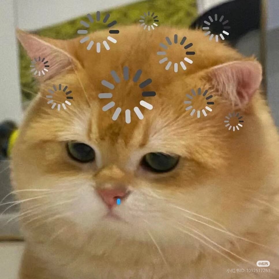 My_Marktuan93's tweet photo. สภาพเจบี หลังจากตื่นมาวันนี้ แล้วลบ สตร ตัวเองอย่างไว🤣🤣🤣
55555555555555555555
@jaybnow_hr #JAYB
#MarkTuan
#MARKTUAN_BDAY2025
#GOT7
สตร ที่ลง เจบีตอนตื่น https://t.co/lC1MMUFJ9D