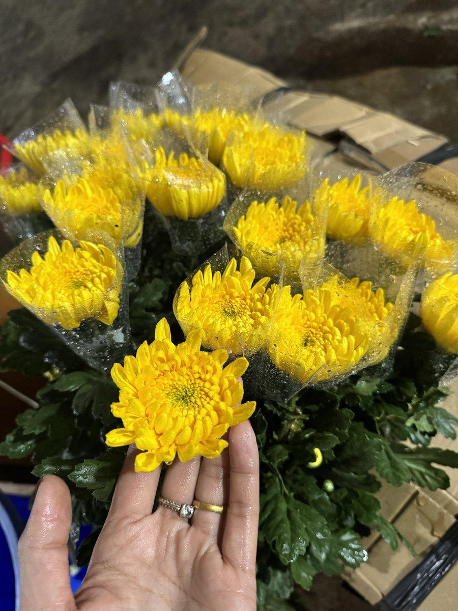 Kim cương Đà lạt đây ạ
