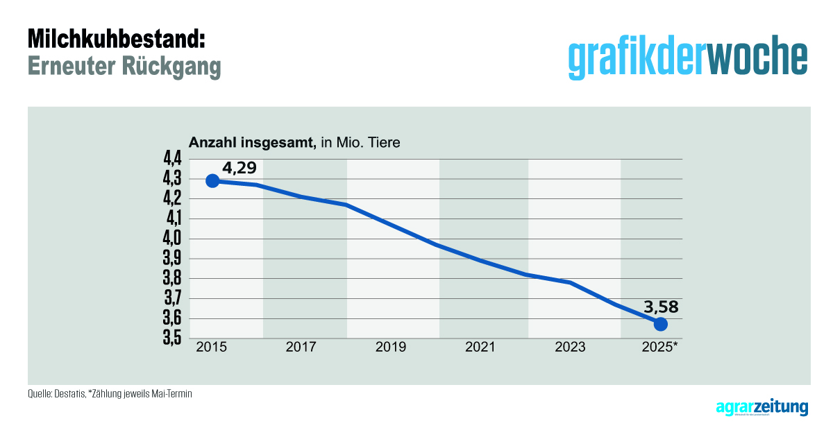 Mit dem #Milchkuhbestand in Deutschland geht es weiter kontinuierlich abwärts. Im Jahresvergleich liegt der Rückgang bei weiteren 6,3 Prozent. In Rheinland-Pfalz war das Minus prozentual am stärksten.