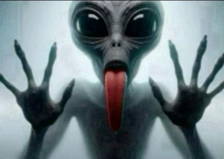 sheldon_OW's tweet photo. maybe we're not so different...aliens and humans.... https://t.co/ZLAUCOrawQ