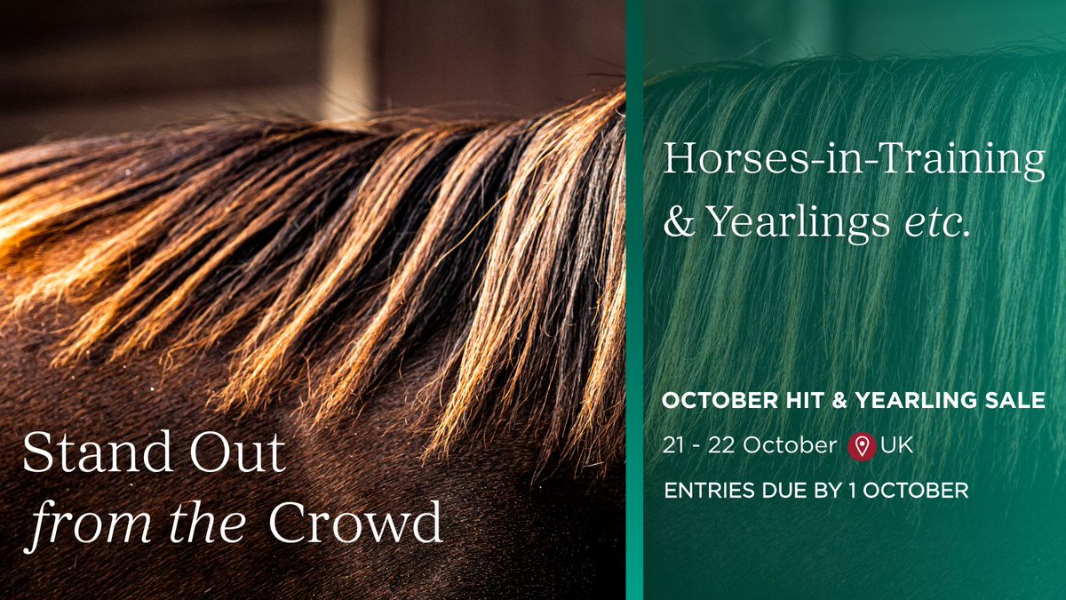 Goffs UK (@goffsuk) on Twitter photo Entries are due by 1 October for the Doncaster October HIT & Yearling Sale ๐ฃ
Enter Online: tinyurl.com/jr5rc9vb
#GoffsOctober | 21 - 22 October Entries are due by 1 October for the Doncaster October HIT & Yearling Sale ๐ฃ
Enter Online: tinyurl.com/jr5rc9vb
#GoffsOctober | 21 - 22 October