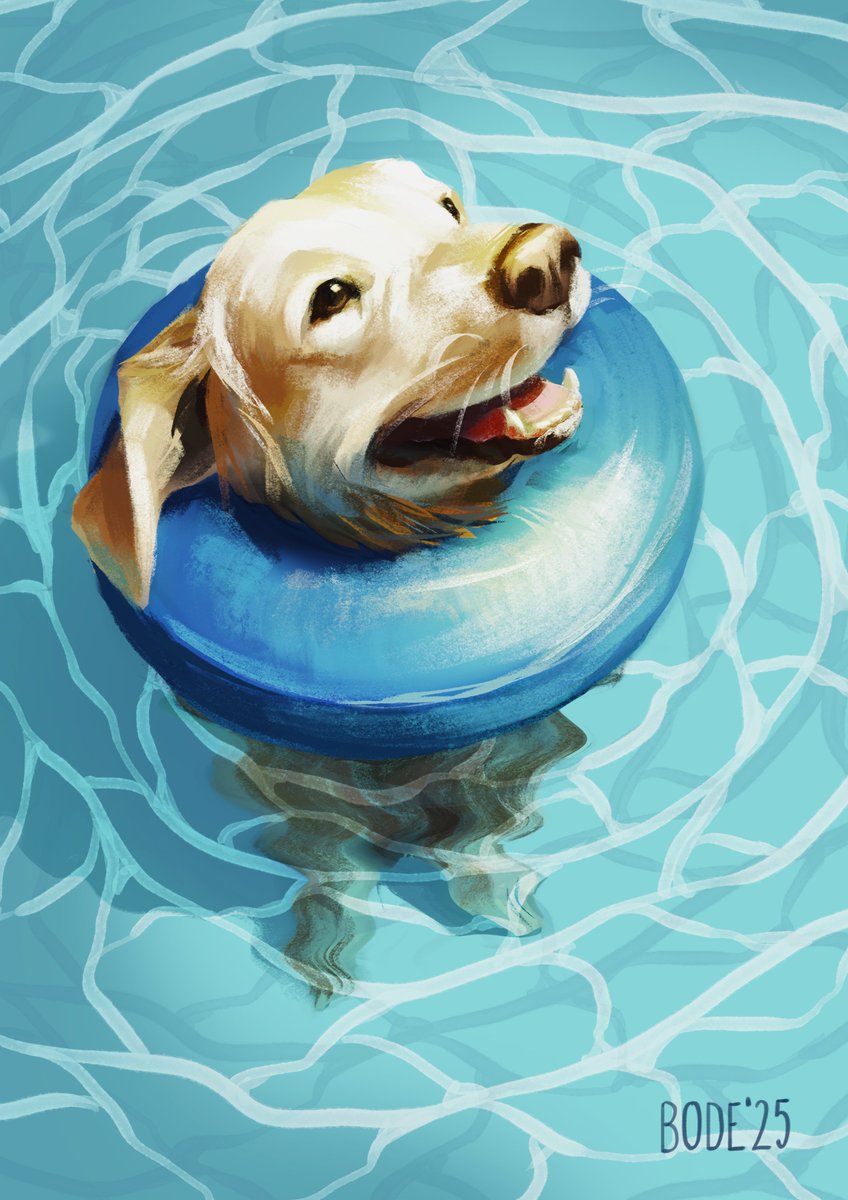 Here's one happy pool puppy! ☺️

#dog #animalportrait #pool #summer #digitalart #art