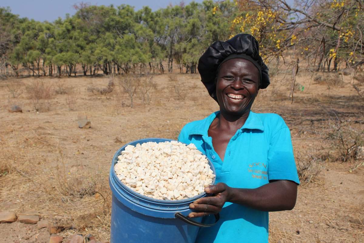 Drylands sustainable landscape impact program tweet media