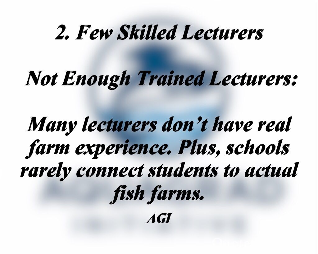 TheAquaGrad's tweet photo. From pond to classroom, Nigeria’s aquaculture future depends on what we teach today!!

Dive into the 5 critical gaps holding back progress in Aquaculture Education!! https://t.co/fL8ZhyJfSR