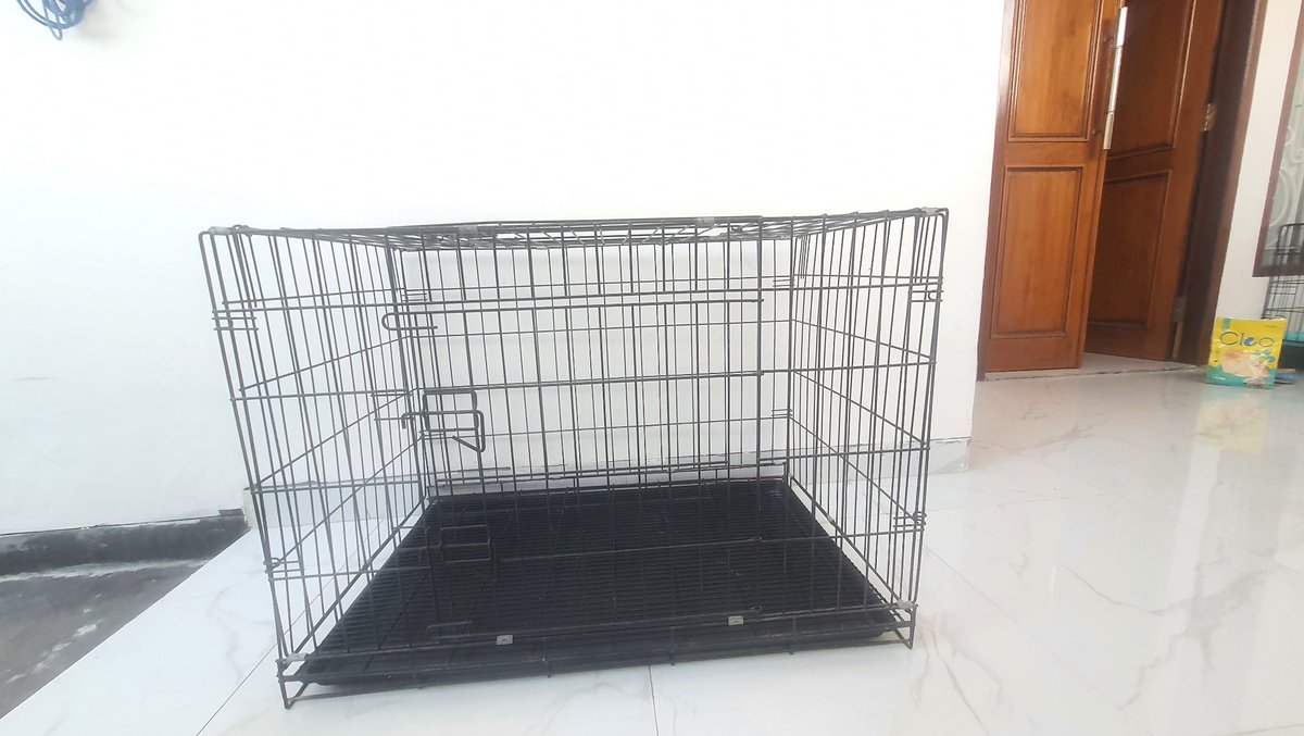 ni_tom16's tweet photo. kandang kucing size xxl (ada 2 kandang)
350‼️ https://t.co/MEngiwTTWt