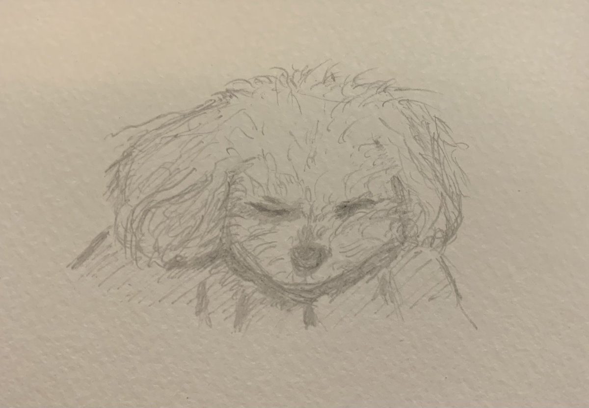 膝の上で眠る姪犬
甘えん坊という分野で名犬

巨人負けてるし。
巨人戦観ながら絵描くなんて、昔の母とおんなじだ。